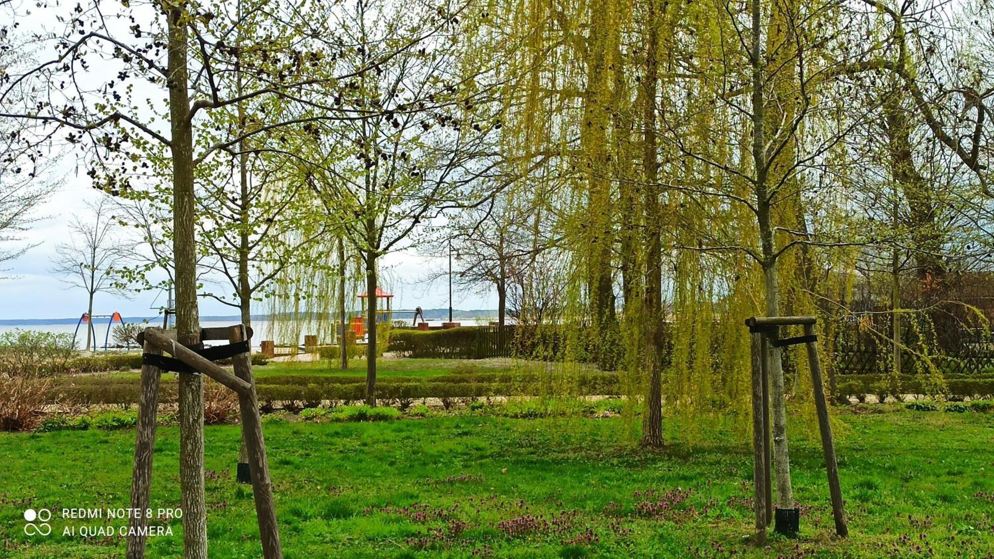 Fe'Wo, Strandnah, Ueckermuende3Ps,1Hund,Stettiner Haff, 외부 사진