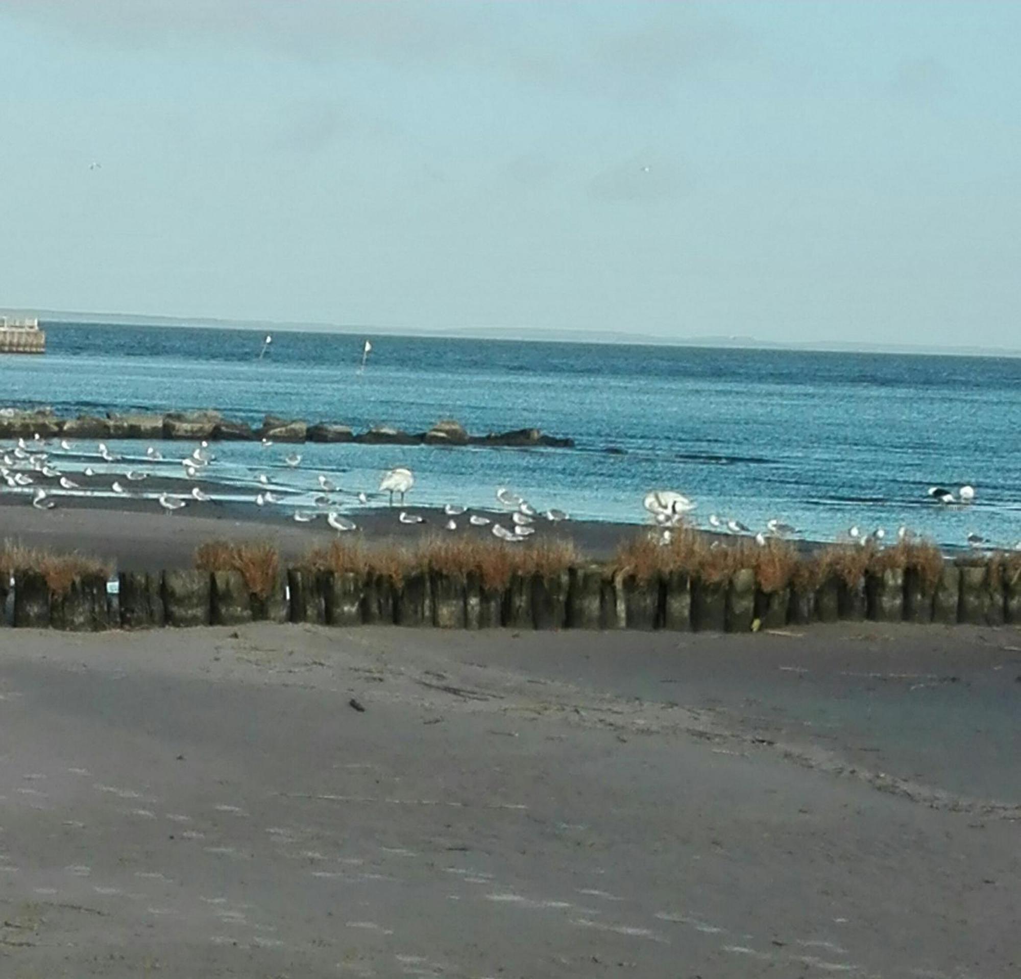 Fe'Wo, Strandnah, Ueckermuende3Ps,1Hund,Stettiner Haff, 외부 사진